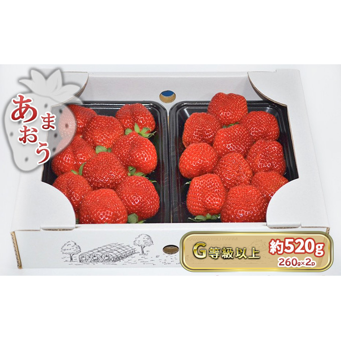いちご あまおう G以上 約520g(260g×2パック)配送不可 北海道 東北 沖縄 離島 果物 フルーツ 旬のいちご 食後 デザート 農家直送 大粒 福岡県朝倉市11000果物・フルーツいちご