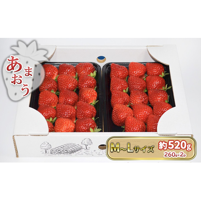 いちご あまおう M〜Lサイズ 約520g(260g×2パック)配送不可 北海道 東北 沖縄 離島 福岡県朝倉市11000果物・フルーツいちご