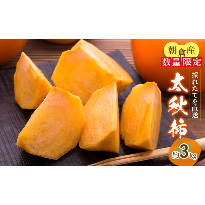 ys\z` H` 3kg  ʕ t[c ʕ ʎ fU[g  H H̖o {̉ʕ G߂̖ Y {Y qs15000ʕEt[c̑ ʕEt[c