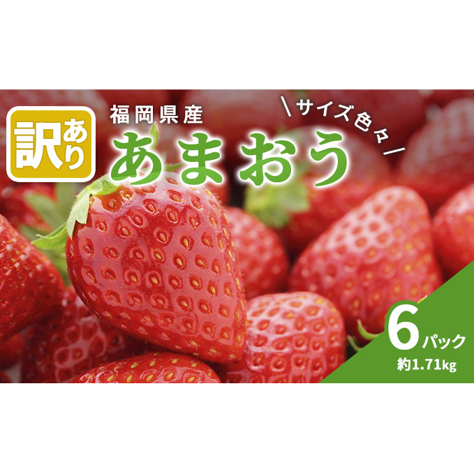訳あり いちご 2026年2月下旬より発送 あまおう サイズ色々 6パック 約1.71kg 配送不可 離島 果物 フルーツ 福岡県産あまおう 福岡県朝倉市19000果物・フルーツいちご