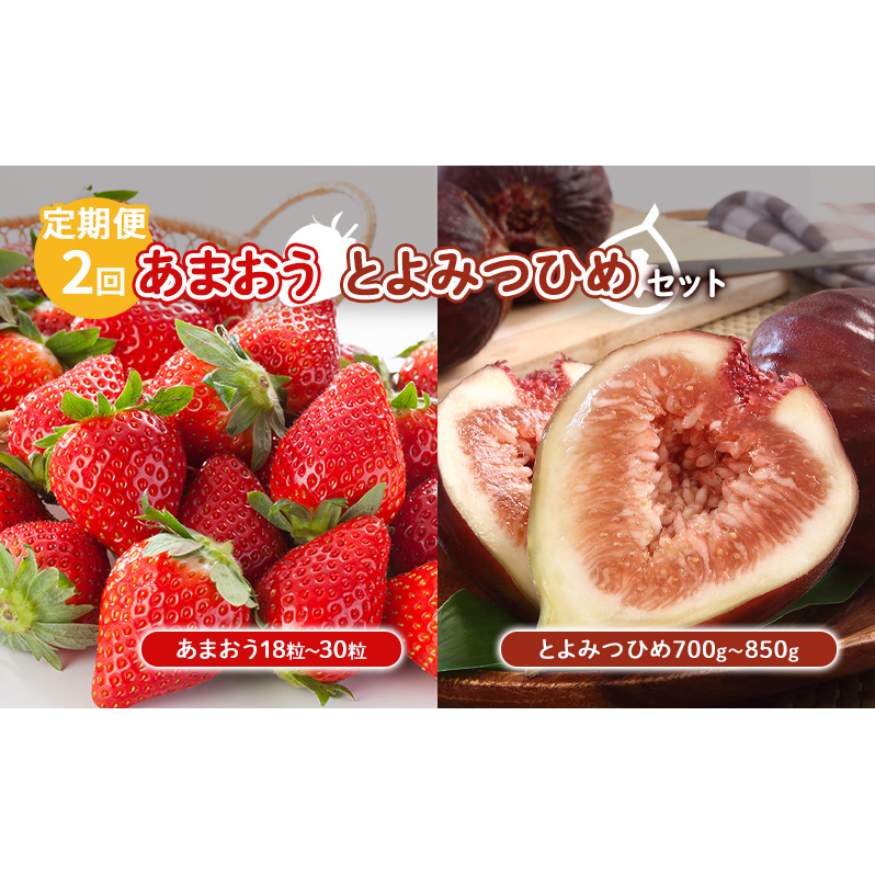 定期便 2回 あまおう いちじく セット いちご 18粒〜30粒 とよみつひめ 700g〜850g 果物 フルーツ 配送不可:北海道 東北 沖縄 離島 福岡県朝倉市29000果物・フルーツいちご