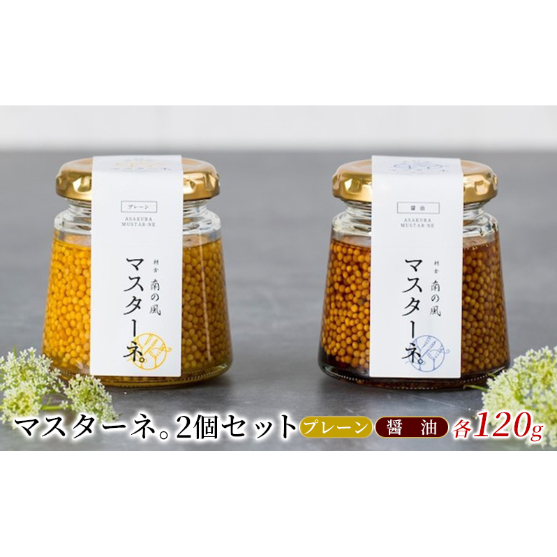 調味料 マスタード 2個 セット マスターネ。 プレーン 醤油 各120g 瓶 食べ比べ ※配送不可:離島 福岡県朝倉市13000調味料・油ドレッシング