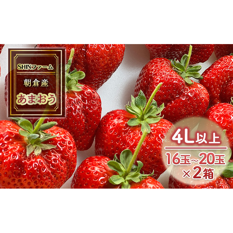 いちご 朝倉市産 あまおう 4L以上 16玉〜20玉×2箱 イチゴ 苺 果物 デザート <SHINファーム> ※配送不可:離島 福岡県朝倉市28000果物・フルーツいちご
