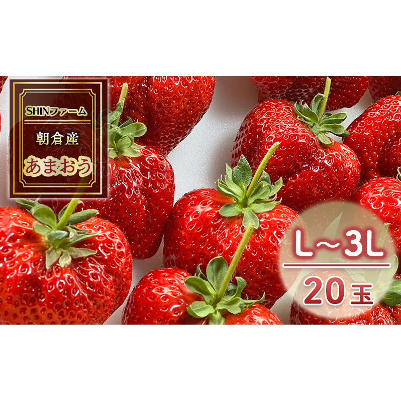  qsY ܂ L`3L 20 C`S  ʕ fU[g SHINt@[ zsF qs15000ʕEt[c