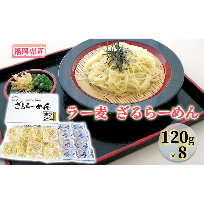 ラーメン 福岡県産 ラー麦 ざるらーめん 1ケース 麺 福岡県朝倉市12000麺ラーメン