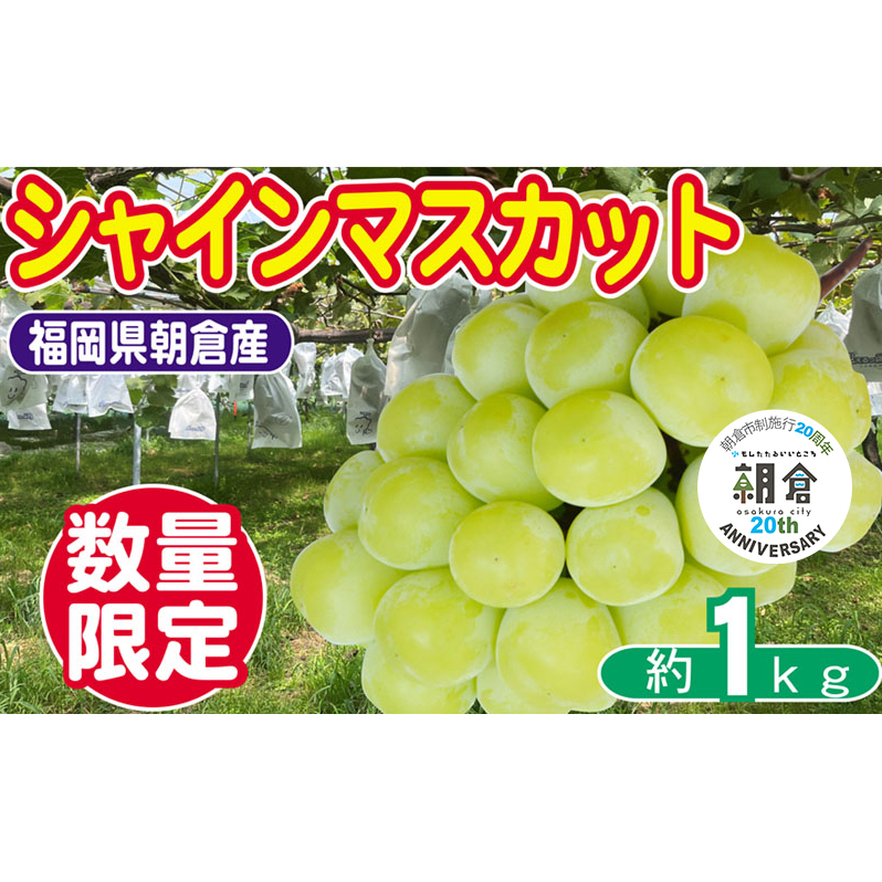 yqs{s20NLOz ʌ VC}XJbg 1`3[ 1kg 䂤ʎ VC }XJbg  zsFqs13000ʕEt[c}XJbgEԂǂ