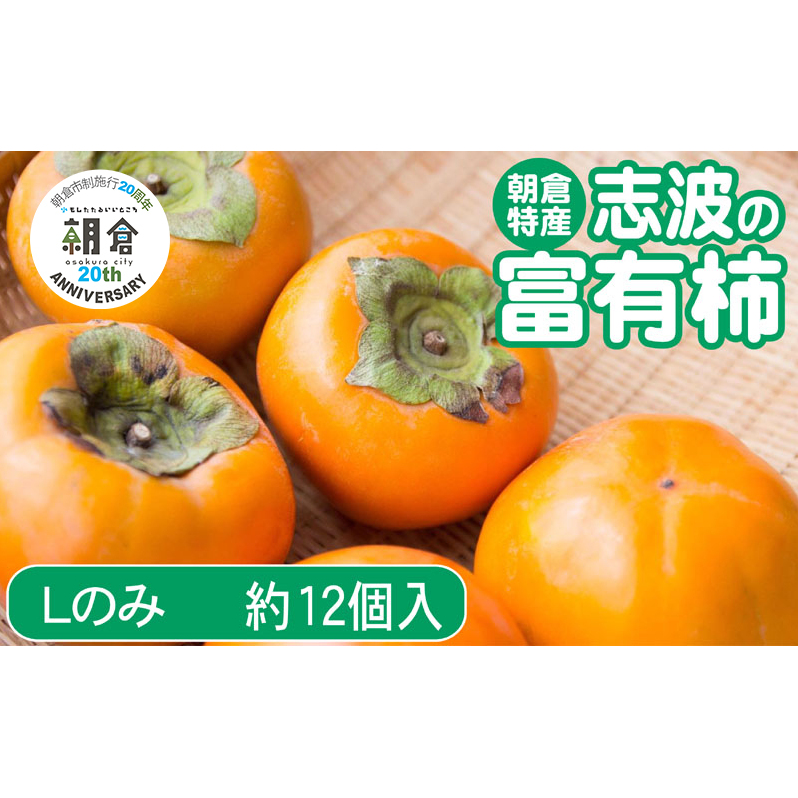 【朝倉市制施行20周年記念企画】 柿 志波の富有柿 Lサイズのみ×約12個入 ゆう美果樹園 ※配送不可:離島福岡県朝倉市9000果物・フルーツその他 果物・フルーツ