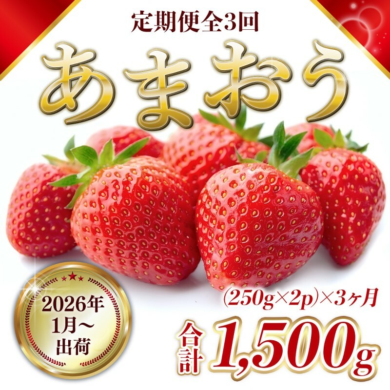 定期便 3ヶ月 福岡県産 あまおう 合計1500g 先行予約 2026年1月より順次発送 いちご イチゴ 苺 果物 3回 ※配送不可:離島福岡県朝倉市48000果物・フルーツいちご