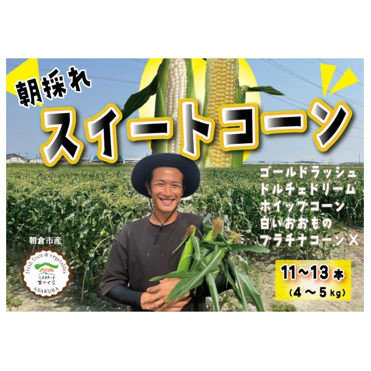 Ƃ낱 qsY XC[gR[ ̂I4`5kg zsFAkCAkAꕟqs12000؁ÊƂ낱