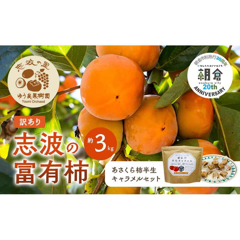 yqs{s20NLOz 󂠂 xL` 3kg`̔L Zbg zsFqs7000َqEXC[c̑ mَq