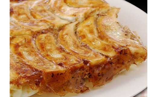 ふつうの餃子(28g×30粒)×2セット 【11100-0480】埼玉県さいたま市13000鍋セット・総菜・加工食品総菜