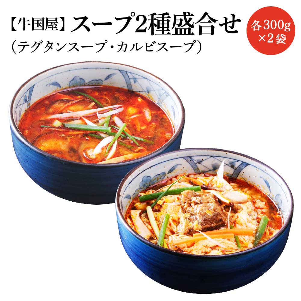 【牛国屋】スープ2種盛合せ(テグタンスープ、カルビスープ) 各300g×2袋 【11100-0782】埼玉県さいたま市10000鍋セット・総菜・加工食品総菜