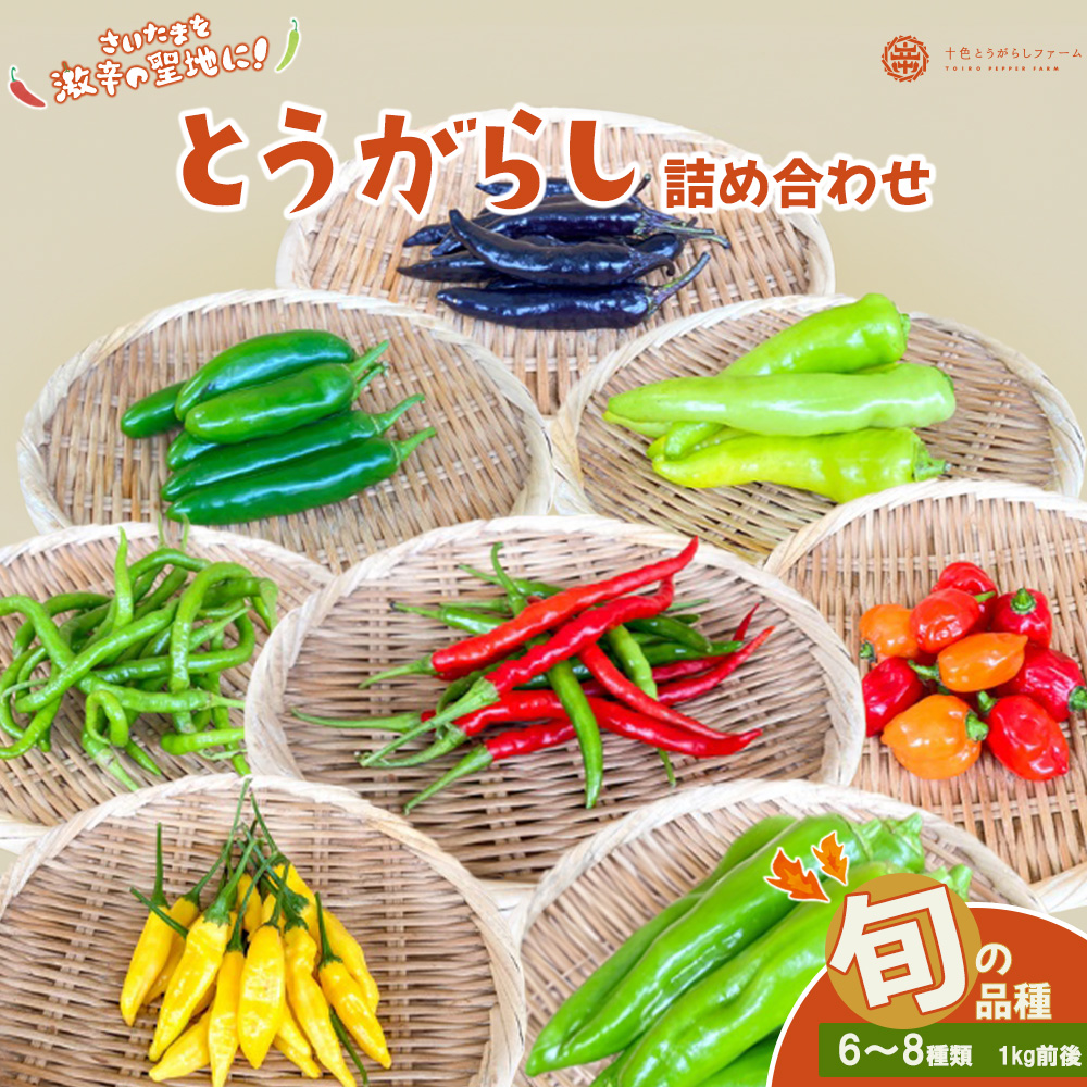 【十色とうがらしファーム】とうがらし 旬の品種詰合せ 【11100-0805】埼玉県さいたま市12000野菜・きのこその他 野菜