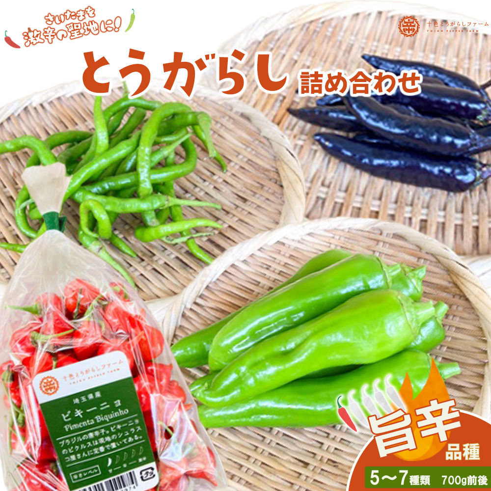 【十色とうがらしファーム】とうがらし <旨辛>品種詰合せ 【11100-0808】埼玉県さいたま市12000野菜・きのこその他 野菜