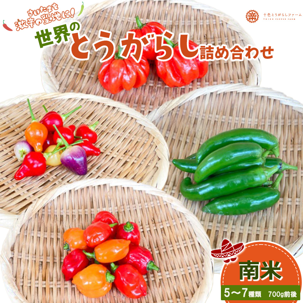 【十色とうがらしファーム】世界のとうがらし詰合せ<南米> 【11100-0810】埼玉県さいたま市12000野菜・きのこその他 野菜