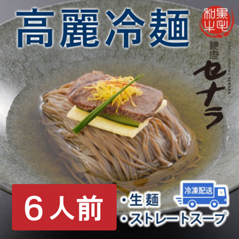 高麗冷麺セット(6人前) 【11100-1615】埼玉県さいたま市14000麺その他 麺