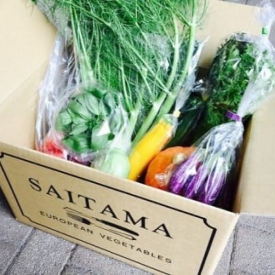 さいたまヨーロッパ野菜セット 【11100-0187】埼玉県さいたま市10000野菜・きのこ