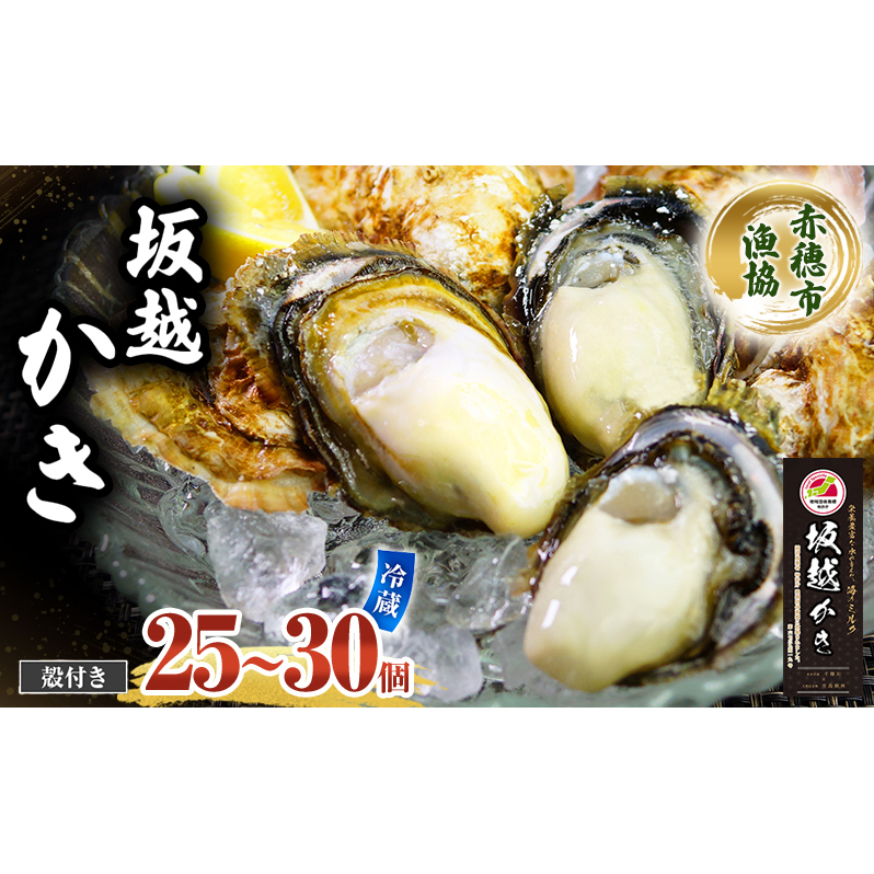 牡蠣 坂越かき 殻付き (25個〜30個)2.5kg 牡蠣ナイフ付き 冬牡蠣 かき カキ 魚貝類/生牡蠣/かき シーフード 兵庫県赤穂市17000魚介・海産物鮮魚