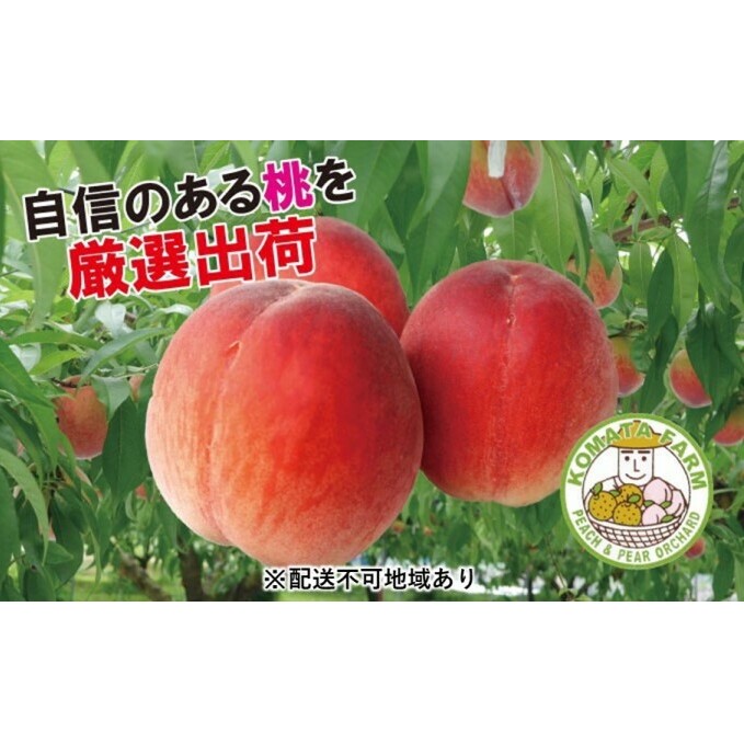 桃 白桃 約2kg 錦の桃 もも モモ フルーツ 果物 デザート 2024年発送 小俣果樹園 配送不可:離島 熊本県錦町15000果物・フルーツもも・すもも