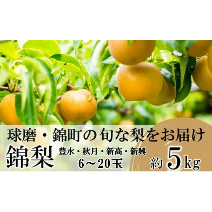  s\ {̗ 5kg 6ʁ`20 L H V V ђY 8{菇o Ȃ t[c ʕ fU[g Â zsF F{ђ16000ʕEt[c񂲁E