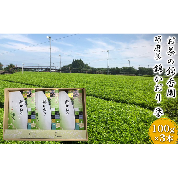 球磨茶【錦かおり:誉】玉緑茶 お茶 茶葉 熊本県錦町14000お茶・飲料お茶