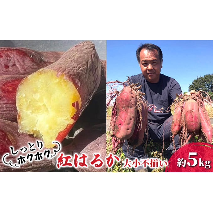 さつまいも 紅はるか 熊本県 錦町産 約5kg 大中不揃い 野菜 国産 秋の味覚 蒸しイモ 高糖度 甘い 焼き芋 しっとり ホクホク ビタミンC 食材 熊本県錦町10000野菜・きのこじゃがいも・イモ類