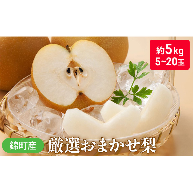 梨 おまかせ 約5kg 豊水・秋月・新高などから最も旬の梨を厳選 錦町産 5〜20玉 なし ナシ 果物 くだもの デザート フルーツ ※配送不可:離島 熊本県錦町19000果物・フルーツりんご・梨