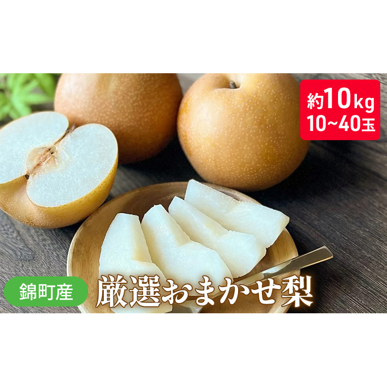 梨 おまかせ 約10kg 豊水・秋月・新高などから最も旬の梨を厳選 錦町産 10〜40玉 なし ナシ 果物 くだもの デザート フルーツ ※配送不可:離島 熊本県錦町32000果物・フルーツりんご・梨