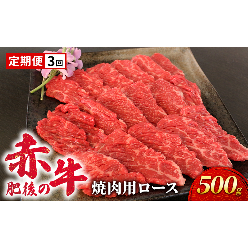 定期便 3ヶ月 あか牛 焼肉 ロース 500g 肥後の赤牛 肉 お肉 牛肉 牛 焼き肉 焼肉用 3回 お楽しみ 熊本県錦町71000肉牛肉