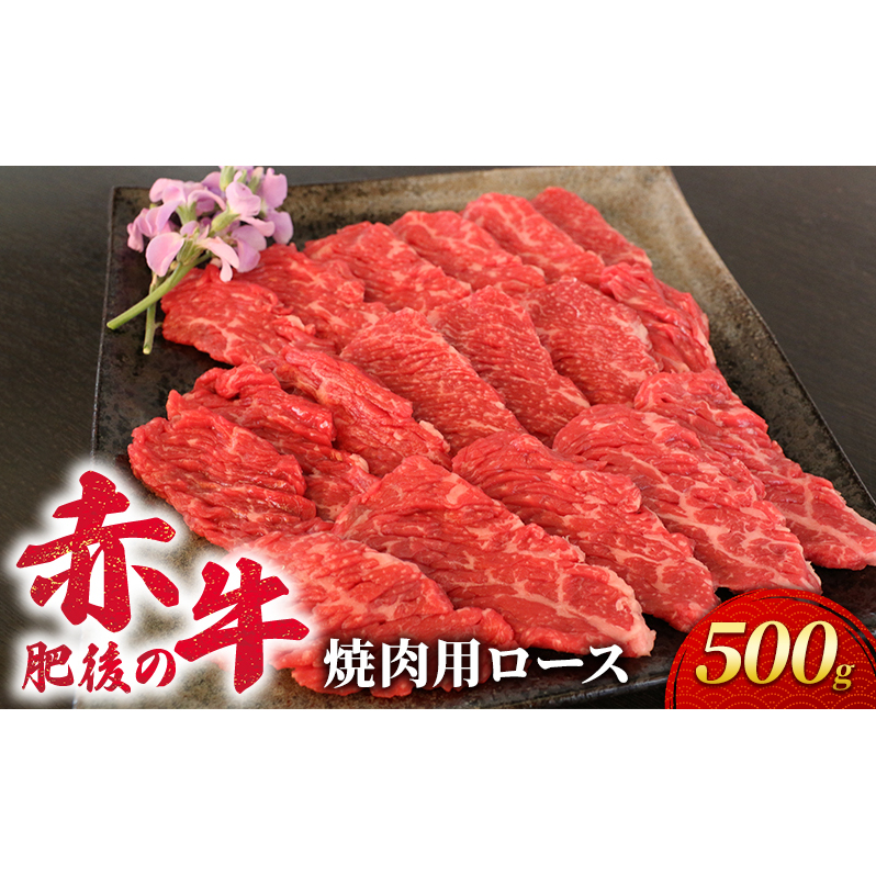 あか牛 焼肉 ロース 500g 肥後の赤牛 肉 お肉 牛肉 牛 焼き肉 焼肉用 熊本県錦町25000肉牛肉