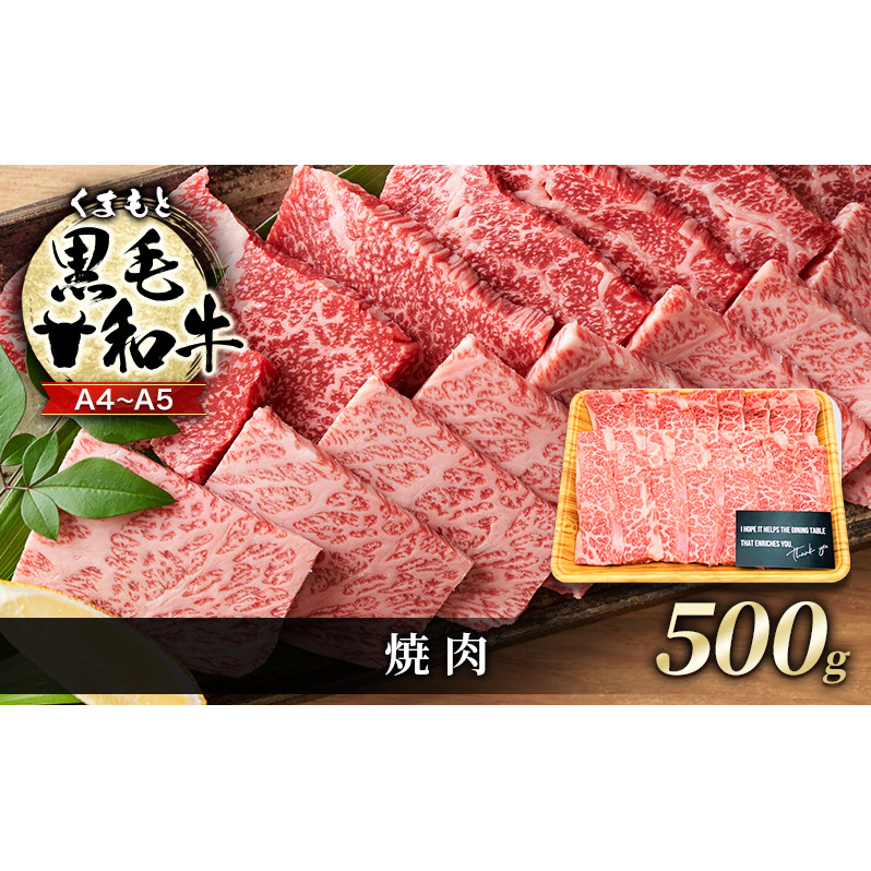 牛肉 A4〜A5 くまもと 黒毛和牛 焼肉 500g 焼き肉 肉 お肉 ※配送不可:離島熊本県錦町16000肉牛肉