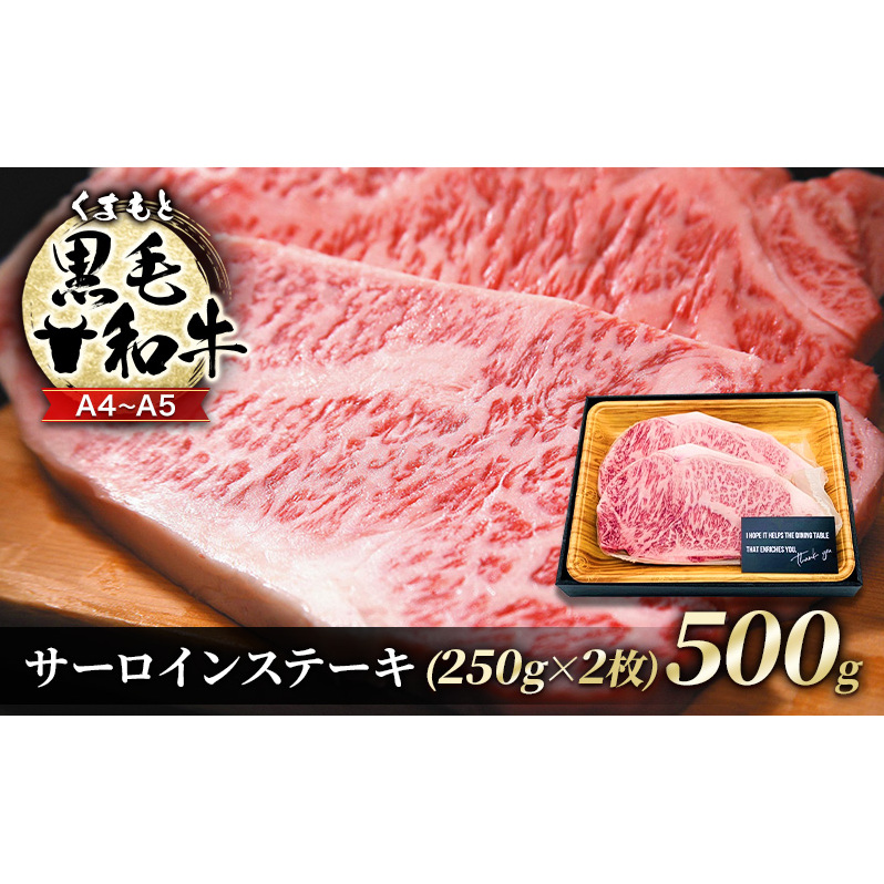 牛肉 A4〜A5 くまもと 黒毛和牛 サーロイン ステーキ セット 500g (250g×2枚) 肉 お肉 ※配送不可:離島熊本県錦町20000肉牛肉