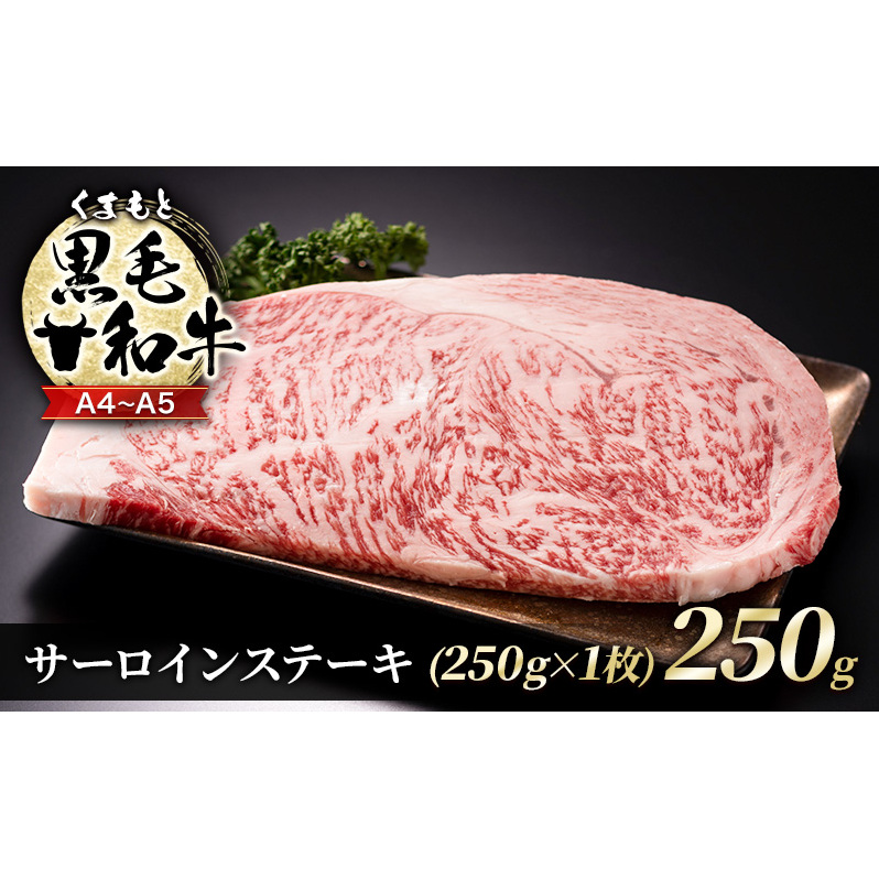  A4`A5 ܂ јa T[C Xe[L 250g (250g×1)   zsFF{ђ13000