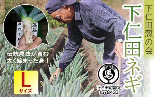 下仁田葱の会の下仁田葱(Lサイズ)とろける 甘い ネギ 王様 ねぎ 殿様ねぎ 特産 栄養たっぷり ブランド 上州ねぎ すきやき F21K-588群馬県下仁田町14000野菜・きのこ玉ねぎ・ねぎ