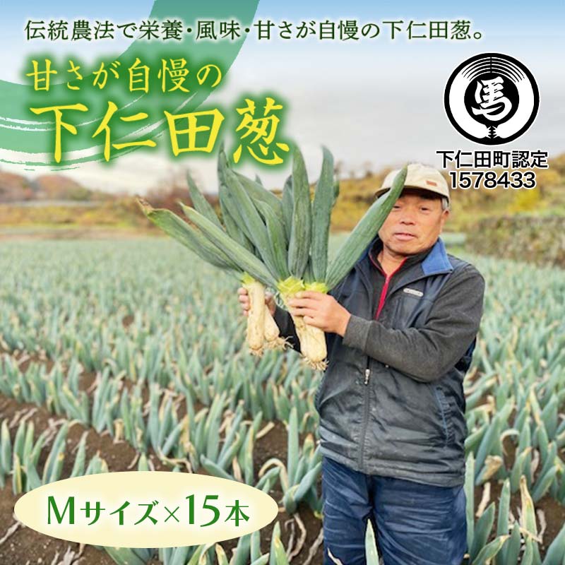 甘さが自慢の下仁田葱(Mサイズ 15本) とろける 甘い ねぎ ネギ 王様ねぎ 殿様ねぎ 特産 栄養たっぷり ブランド 上州ねぎ すきやき F21K-614群馬県下仁田町11000野菜・きのこ玉ねぎ・ねぎ