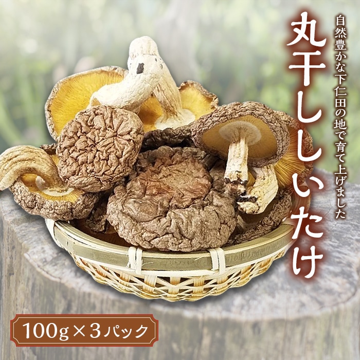 ۊ 300g ő Z  |݂Ղ  ܂ N Qn mc F21K-168Qnmc20000؁Ê̂