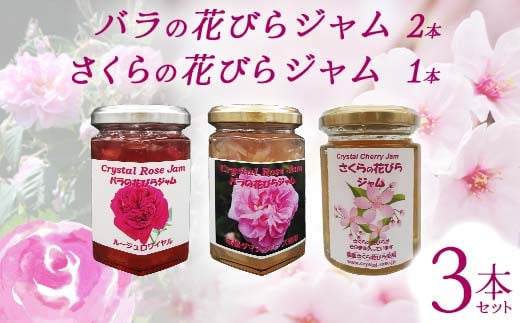 ỏԂтW2{ ̉ԂтW1{ Zbg Hp [Y KN  TN XR[ R ACXN[ NbL[ F21K-418Qnmc14000ZbgE؁EHHiWE