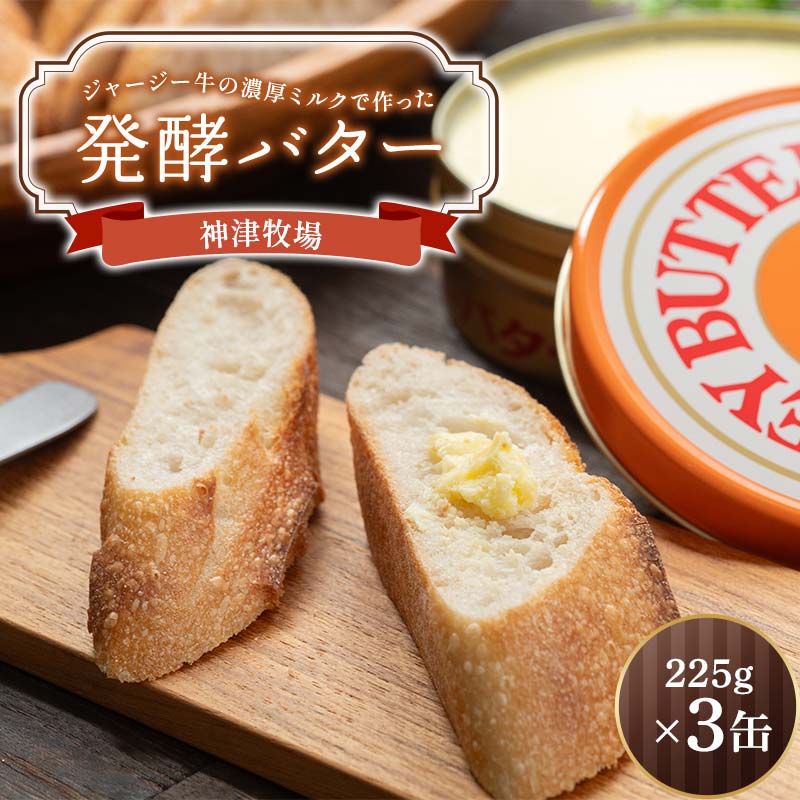 【神津牧場】ジャージー牛の濃厚ミルクで作った発酵バター225g×3缶セット F21K-505群馬県下仁田町24000卵・乳製品バター