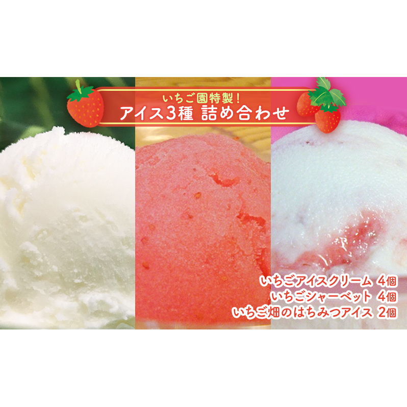 浜いちごの アイスクリーム シャーベット いちご畑のはちみつアイス 詰め合わせ アイス セット スイーツ デザート イチゴ 苺 千葉県九十九里町12000菓子・スイーツアイス・ジェラート