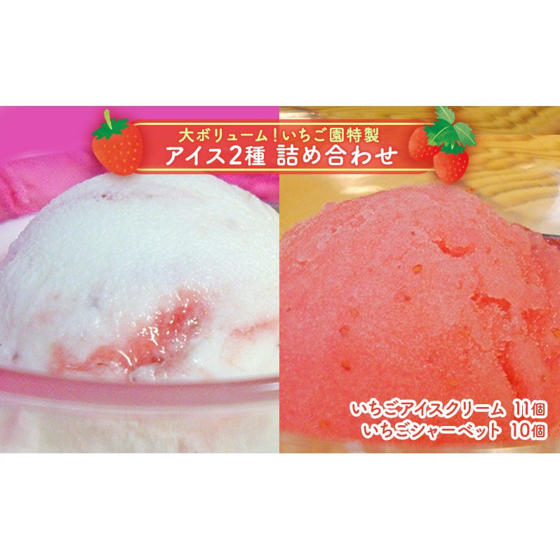 浜いちごのアイスクリーム・シャーベットたっぷり詰合せ スイーツ いちご畑 セット 千葉県九十九里町25000菓子・スイーツアイス・ジェラート