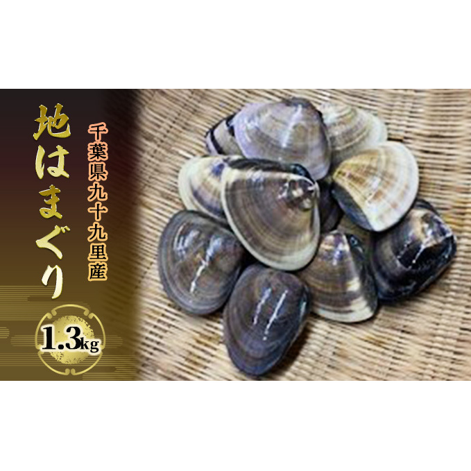 はまぐり 千葉 九十九里産 地はまぐり 1.3kg カネヨン水産 貝 海鮮 海産物 海の幸 魚介 魚介類 水産 水産物 はまぐり鍋 バーベキュー BBQ お吸い物 国産 ハマグリ 蛤 産地直送 冷蔵 冷蔵配送 千