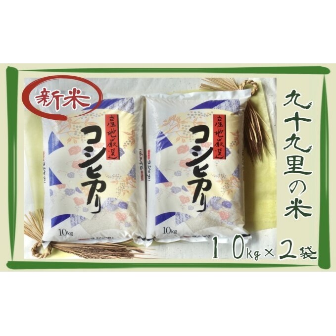 yR3NYzRVqJ20kg  t\㗢20000āEp