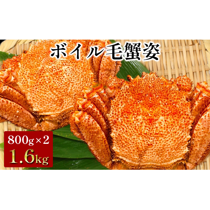 ^ {CуKjp@800g×2 1.6kg@ уJj I t\㗢45000ECYJj