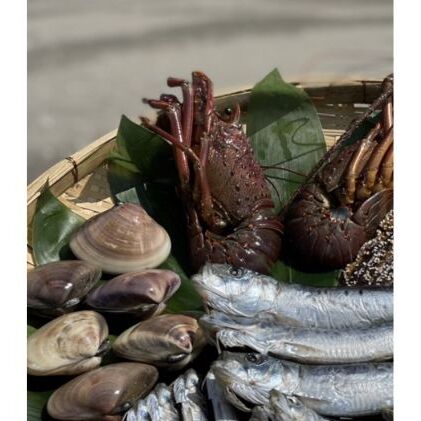 漁師が選ぶ豪華海鮮網焼きセット伊勢海老付き” 魚貝類魚介類 海の幸 浜焼き イセエビ 蛤 はまぐり イワシ 産地直送 千葉県九十九里町60000魚介・海産物エビ