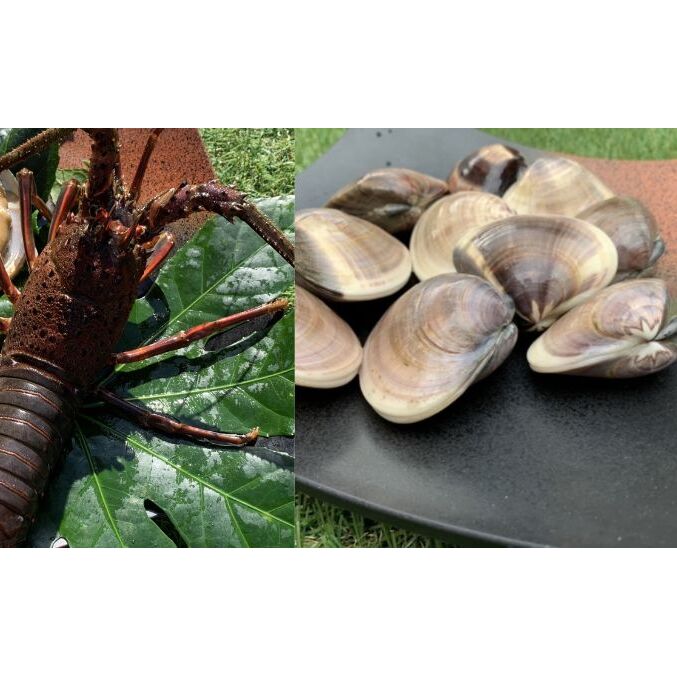 tIԔZbgiɐCVAVRjⓀ CN L  CZGr ͂܂ BBQ o[xL[ C̍K Yn t\㗢117000ECYGr