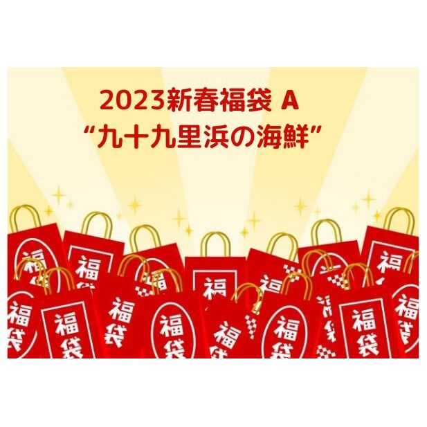 2023新春福袋A 九十九里浜の海鮮 お楽しみ 魚貝類 魚介類 鮮魚 九十九里産 はまぐり しらる 牡蠣 伊勢海老 鮑 しらす 千葉県九十九里町34000魚介・海産物その他 魚介・海産物