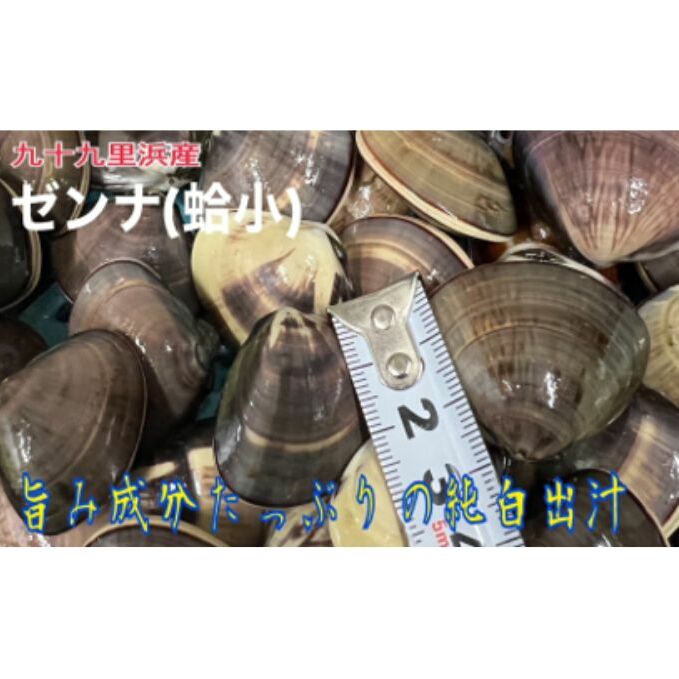 務肪ܖZo`̓VRh[ihⓀij15kg L | Zȏo` VR͂܂ g Â L C̍K CN Y \㗢lY t\㗢95000