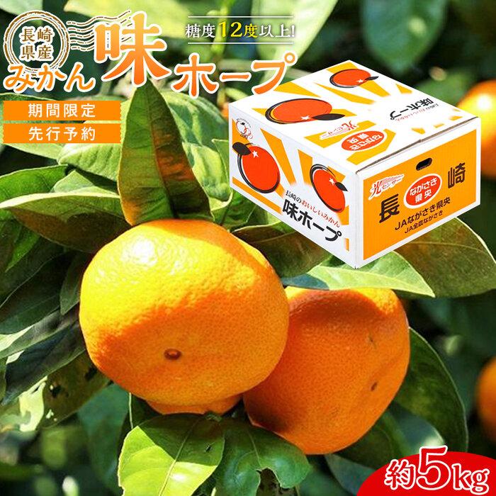 【糖度12度以上!】長崎県産 みかん 味ホープ 約5kg<期間限定/先行予約>【2025年11月中旬以降順次発送】長崎県15000果物・フルーツみかん・柑橘類