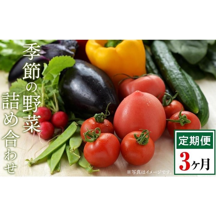 【AB914】【3回定期便】長崎県産 季節の野菜BOX【産直松吉】長崎県53000野菜・きのこその他 野菜