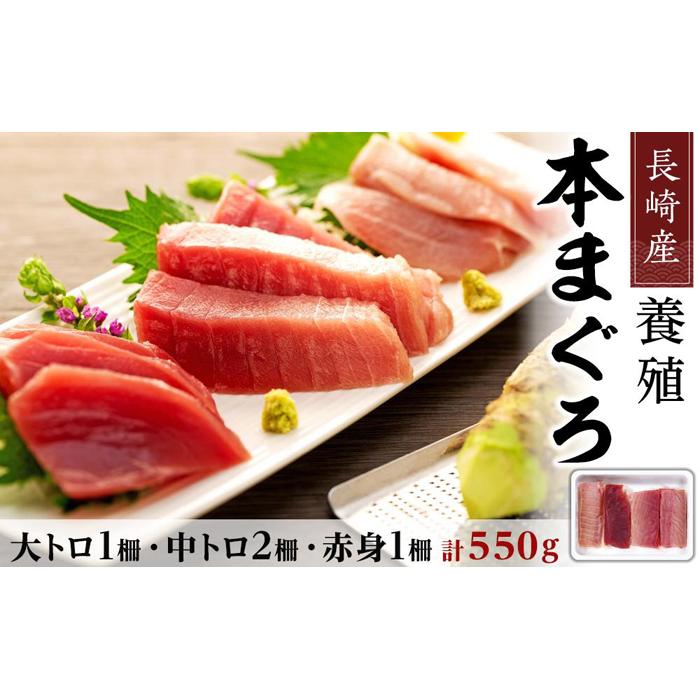 【AD004-NT】長崎産養殖本マグロ長崎県48000魚介・海産物鮮魚